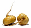 MACA ORGANICA PROPIEDADES VENTA COMPRAR