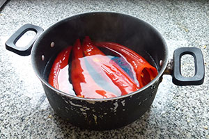 receta pan integral