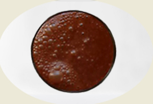 Chocolatada de datiles, cacao amargo y leche vegetal sin azúcar 