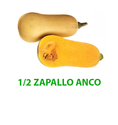 partner 4