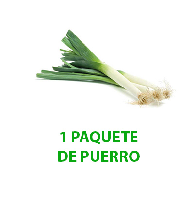 partner 8