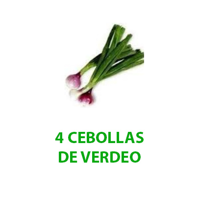 partner 2